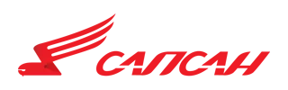 Сапсан
